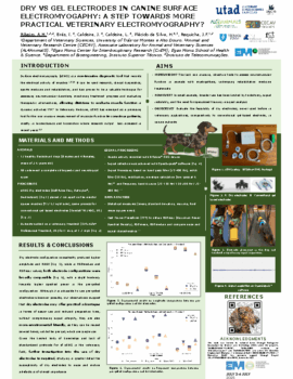 Ana_Ribeiro_CiiEM_2025-Poster-ad8fcf7b7b93ebd456b7d2ee460417e1