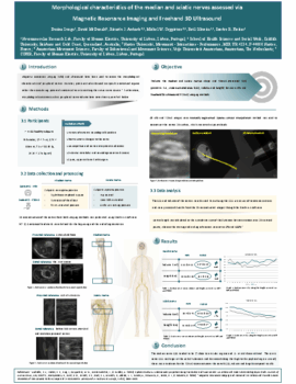 Dorina-Lungu_Poster_Ciiem_7th_congress-6fdcbd27b65939b19e852b86b234679e