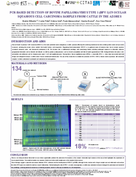PCR-BASED-DETECTION-OF-BOVINE-PAPILLOMAVIRUS-TYPE-1-BPV-1-IN-OCU-a92bd66bd80215184ae4f672a107e445