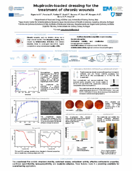 Poster_Signorini-CiiEM-b5cfb72c1adce6ee62ff8f0db222efd8